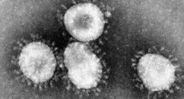 Black and white photograph of microscope image
