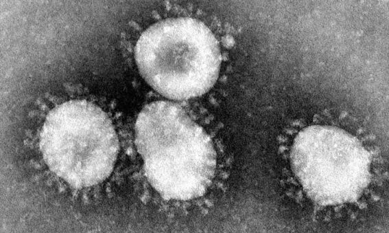 Black and white photograph of microscope image
