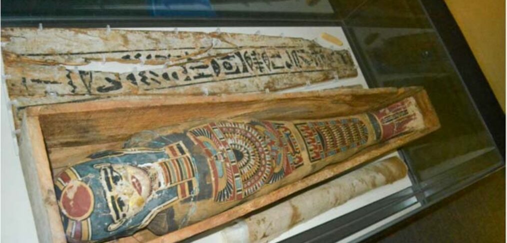 Colour photograph of Egyptian coffin in museum display