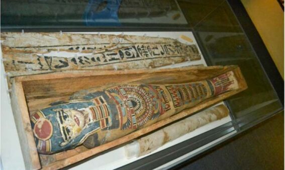 Colour photograph of Egyptian coffin in museum display