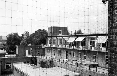 view across roofs of SGI buildings