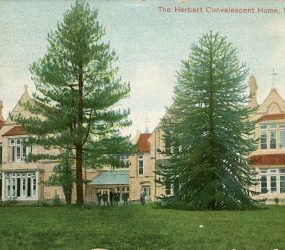 Two tall tress stand in front of the building