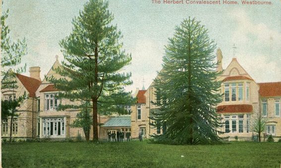 Two tall tress stand in front of the building