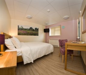 Double bed with bedside table, desk and landscape artwork on wall