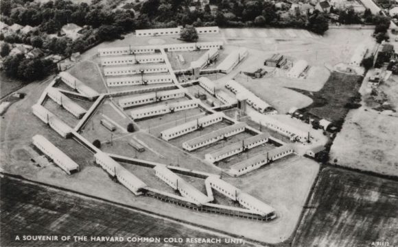 1980