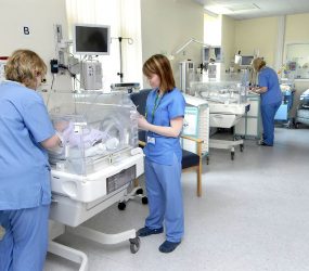 Staff overseeing babies in incubators